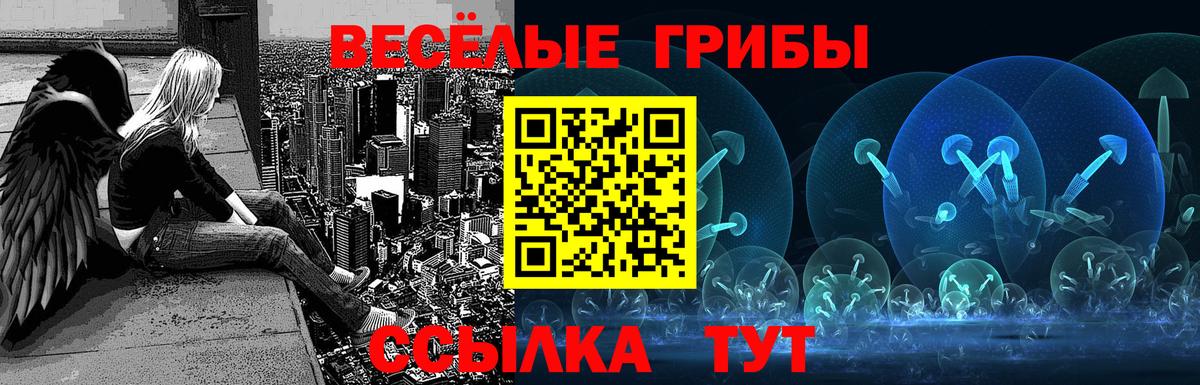 Псилоцибиновые грибы мицелий  Псилоцибиновые грибы Magic Shrooms  Вход с VPN  Егорьевск 