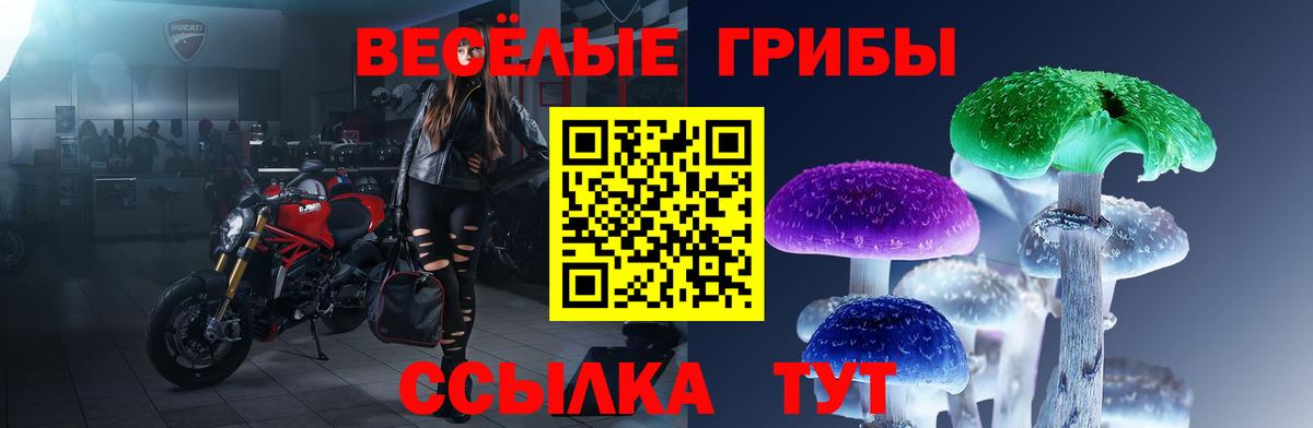 Псилоцибиновые грибы мухоморы Егорьевск